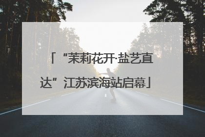 “茉莉花开·盐艺直达”江苏滨海站启幕