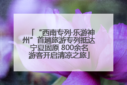 “西南专列·乐游神州”首趟旅游专列抵达宁夏固原 800余名游客开启清凉之旅