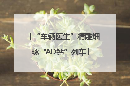 “车辆医生”精雕细琢“AD钙”列车