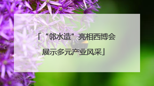 “邻水造”亮相西博会 展示多元产业风采