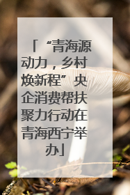 “青海源动力，乡村焕新程”央企消费帮扶聚力行动在青海西宁举办