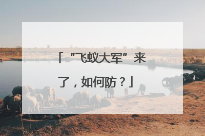 “飞蚁大军”来了，如何防？