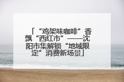 “鸡架味咖啡”香飘“西红市”——沈阳市集解锁“地域限定”消费新场景