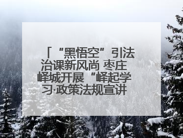 “黑悟空”引法治课新风尚 枣庄峄城开展“峄起学习·政策法规宣讲面对面”活动