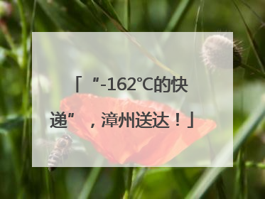 “-162℃的快递”，漳州送达！
