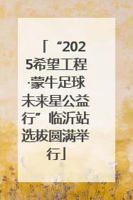 “2025希望工程·蒙牛足球未来星公益行”临沂站选拔圆满举行