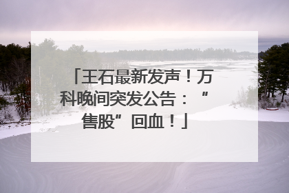 王石最新发声！万科晚间突发公告：“售股”回血！