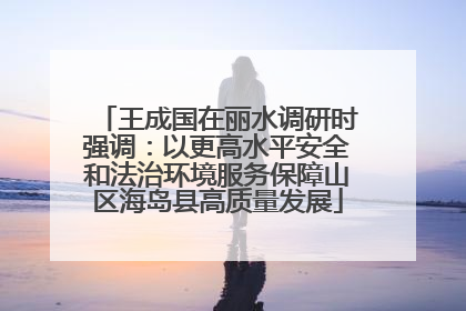 王成国在丽水调研时强调：以更高水平安全和法治环境服务保障山区海岛县高质量发展