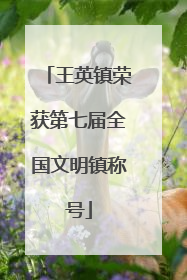 王英镇荣获第七届全国文明镇称号