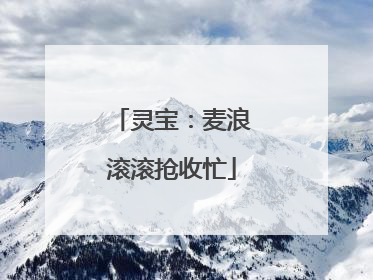 灵宝：麦浪滚滚抢收忙