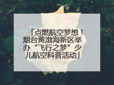 点燃航空梦想！烟台黄渤海新区举办“飞行之梦”少儿航空科普活动