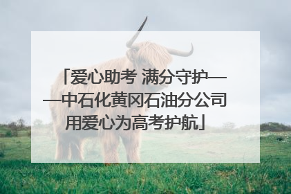 爱心助考 满分守护——中石化黄冈石油分公司用爱心为高考护航