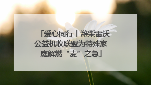 爱心同行丨潍柴雷沃公益机收联盟为特殊家庭解燃“麦”之急