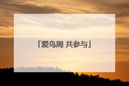 爱鸟周 共参与