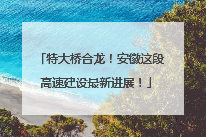 特大桥合龙！安徽这段高速建设最新进展！