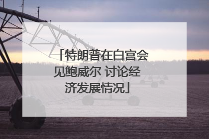 特朗普在白宫会见鲍威尔 讨论经济发展情况
