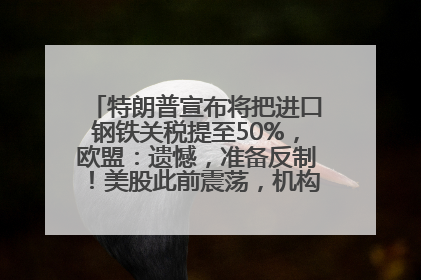 特朗普宣布将把进口钢铁关税提至50%，欧盟：遗憾，准备反制！美股此前震荡，机构：美元正进入熊市