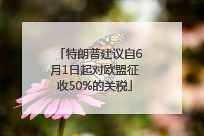 特朗普建议自6月1日起对欧盟征收50%的关税