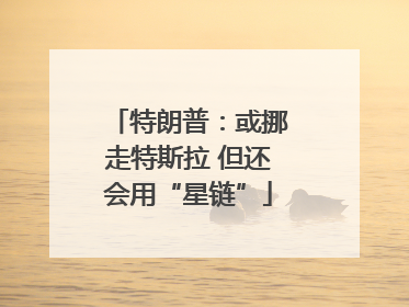 特朗普：或挪走特斯拉 但还会用“星链”