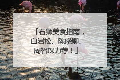 石狮美食指南，白岩松、陈晓卿、周智琛力荐！