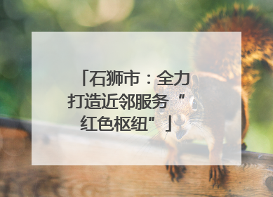 石狮市：全力打造近邻服务“红色枢纽”