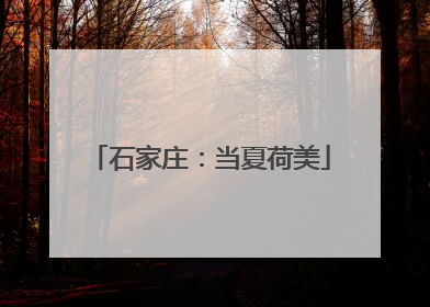 石家庄：当夏荷美