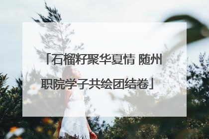 石榴籽聚华夏情 随州职院学子共绘团结卷
