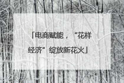 电商赋能，“花样经济”绽放新花火