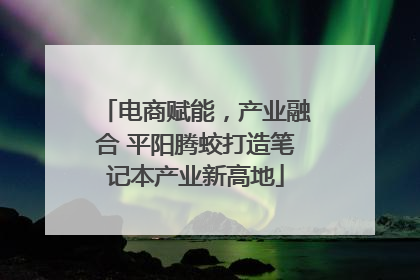 电商赋能，产业融合 平阳腾蛟打造笔记本产业新高地