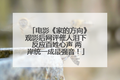 电影《家的方向》观影后网评催人泪下 反应百姓心声 两岸统一成最强音！