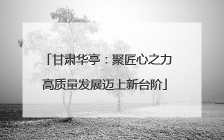甘肃华亭：聚匠心之力 高质量发展迈上新台阶