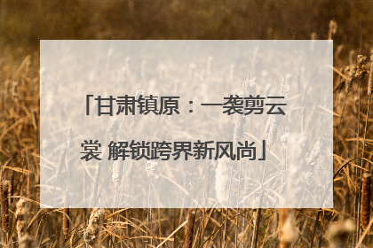 甘肃镇原：一袭剪云裳 解锁跨界新风尚