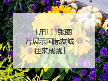 用111张图片展示国际友城往来成就