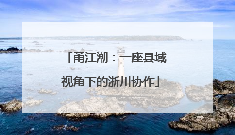 甬江潮：一座县域视角下的浙川协作
