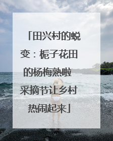 田兴村的蜕变：栀子花田的杨梅熟啦 采摘节让乡村热闹起来