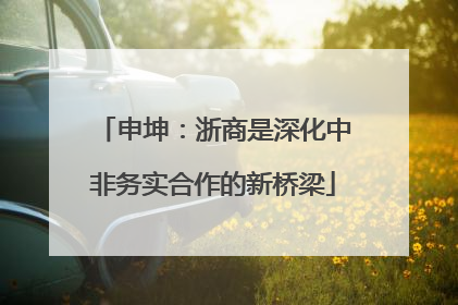 申坤：浙商是深化中非务实合作的新桥梁