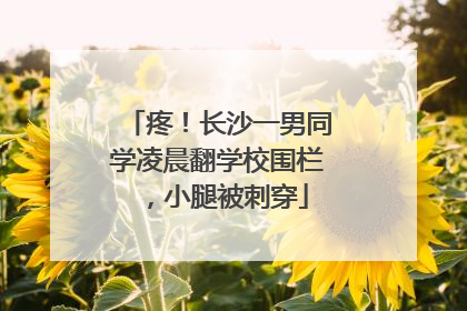 疼！长沙一男同学凌晨翻学校围栏，小腿被刺穿
