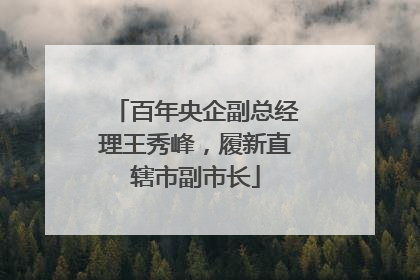 百年央企副总经理王秀峰，履新直辖市副市长