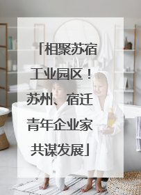 相聚苏宿工业园区！苏州、宿迁青年企业家共谋发展