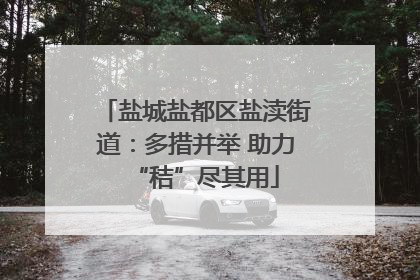 盐城盐都区盐渎街道：多措并举 助力“秸”尽其用