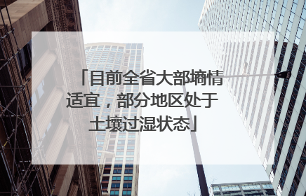 目前全省大部墒情适宜，部分地区处于土壤过湿状态