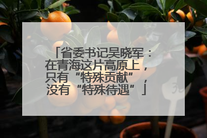 省委书记吴晓军：在青海这片高原上，只有“特殊贡献”，没有“特殊待遇”