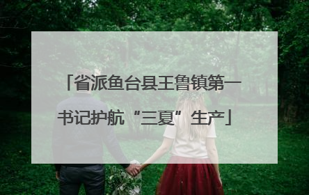 省派鱼台县王鲁镇第一书记护航“三夏”生产