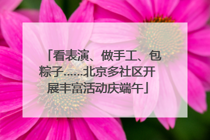 看表演、做手工、包粽子……北京多社区开展丰富活动庆端午