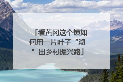 看黄冈这个镇如何用一片叶子“沏”出乡村振兴路