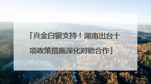 真金白银支持！湖南出台十项政策措施深化对德合作