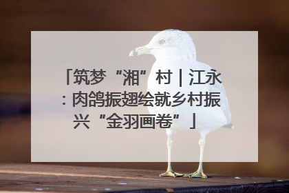 筑梦“湘”村｜江永：肉鸽振翅绘就乡村振兴“金羽画卷”
