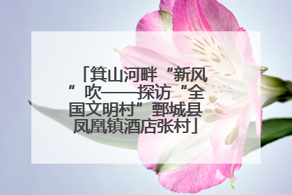 箕山河畔“新风”吹——探访“全国文明村”鄄城县凤凰镇酒店张村