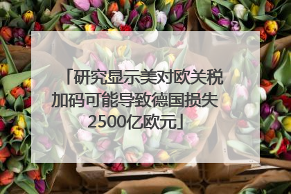 研究显示美对欧关税加码可能导致德国损失2500亿欧元