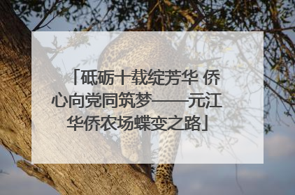 砥砺十载绽芳华 侨心向党同筑梦——元江华侨农场蝶变之路